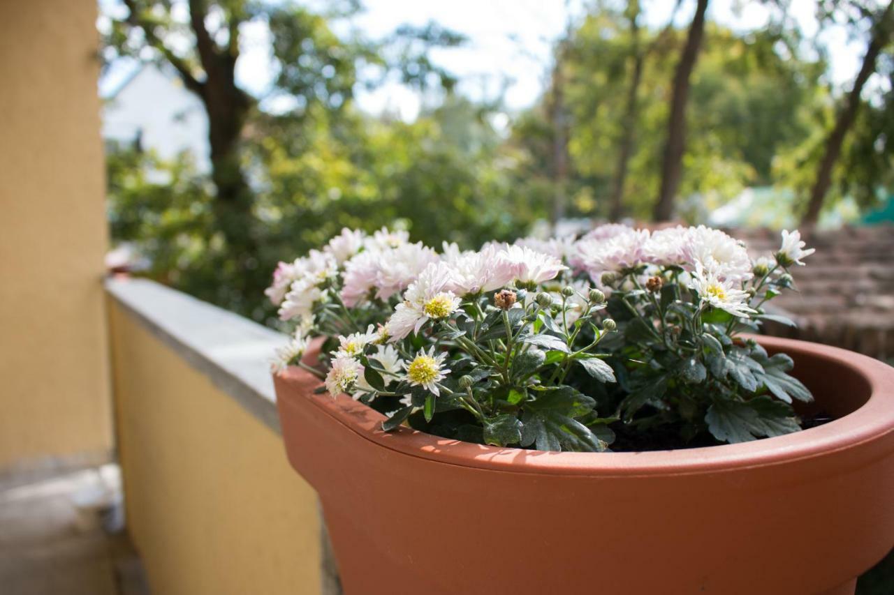 Good Life Home Apartment Szentendre Buitenkant foto